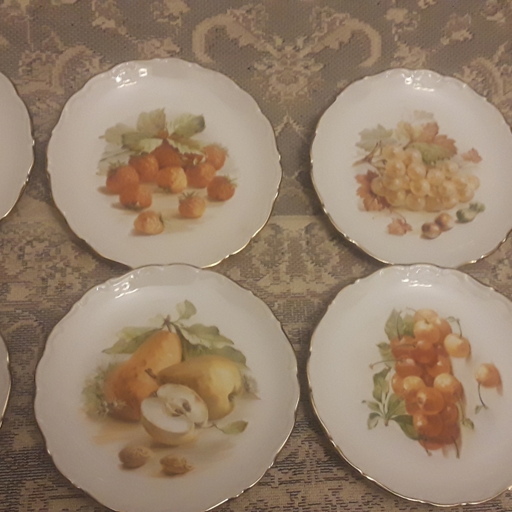 Bavarian Golden Crown E & R 1886 Harvest Fruit Pla